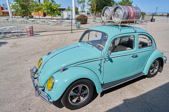 Bugs_2024_07