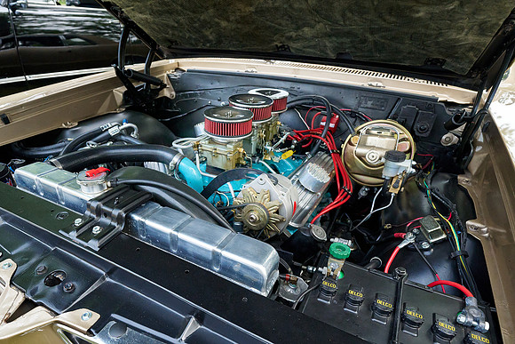 Cars_Fest-05