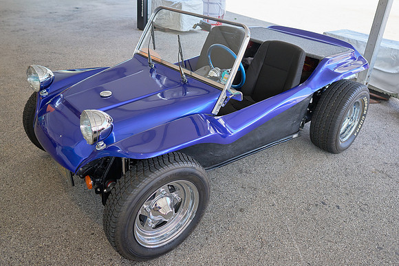Bugs_2024_21