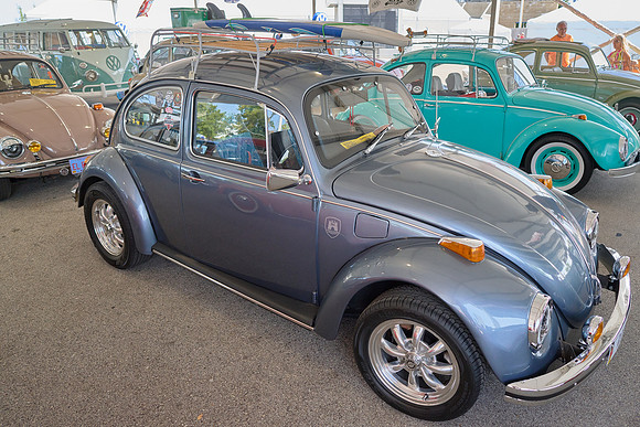 Bugs_2024_14