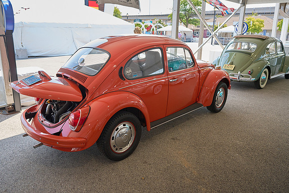 Bugs_2024_23