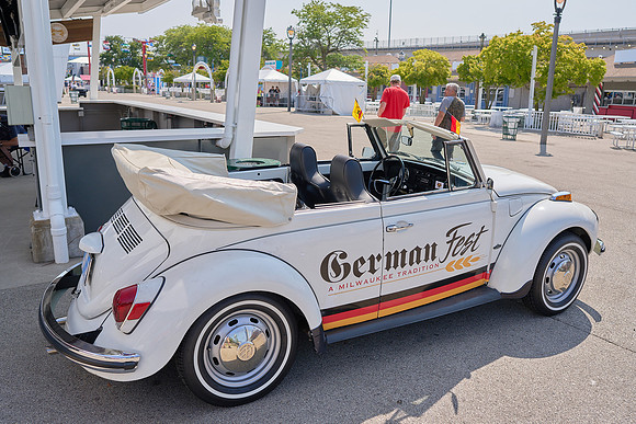 Bugs_2024_02