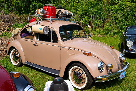 Bugs_2025-1_18