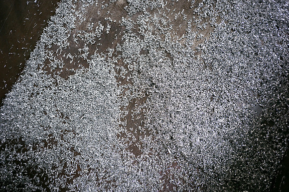 LowRes_15-035_186_