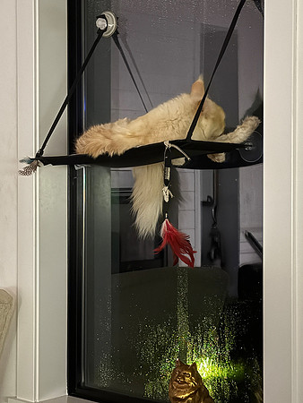 059