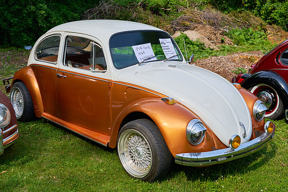 Bugs_2025-1_10