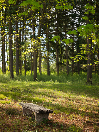 Flickr_Park 2