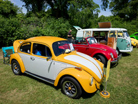 Bavarian Bugs 12