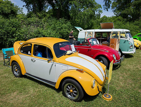 Bavarian Bugs 12