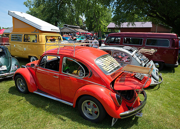 Bavarian Bugs 11
