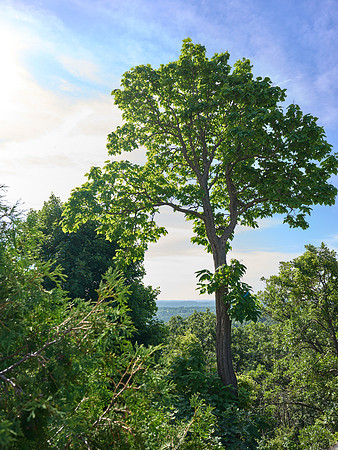 7-15-26_Holy Hill_31