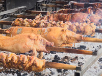 germanfest_26_19