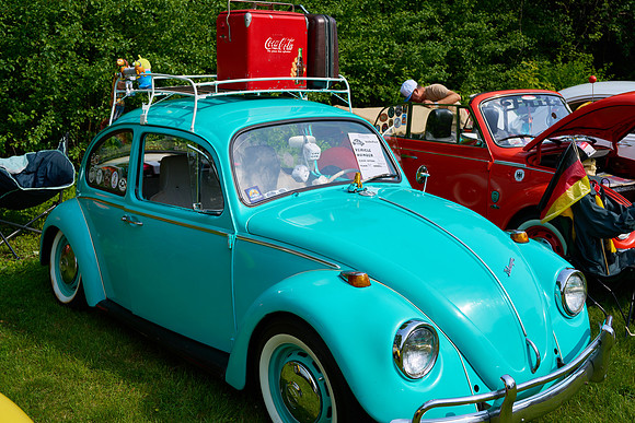 Bugs_2025-1_25