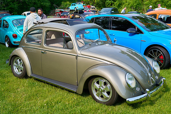Bugs_2025-1_08