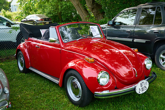 Bugs_2025-1_06