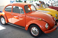 Bugs