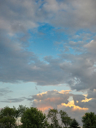 8-2019_001