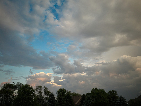 8-2019_003