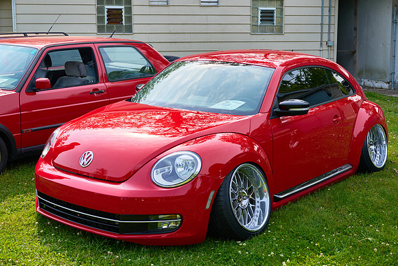 Bugs_2025-1_26
