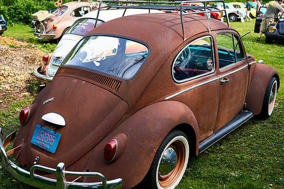 Bugs_2025-1_11