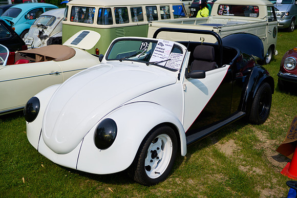 Bugs_2025-1_30