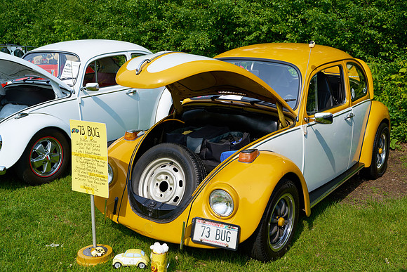 Bugs_2025-1_33