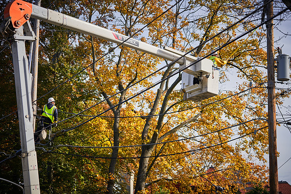 300dpi_20-018_313