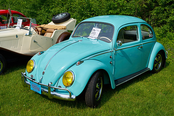 Bugs_2025-1_24