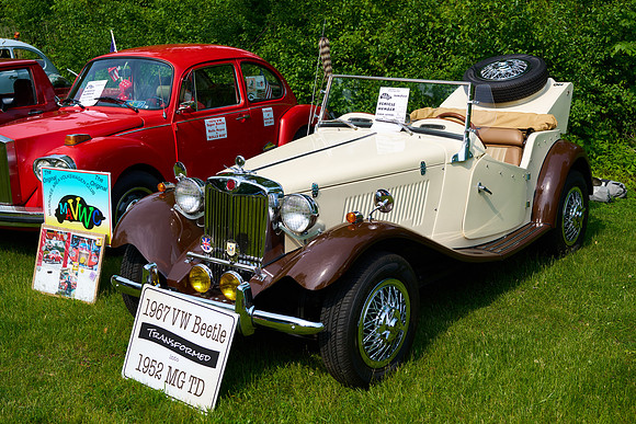 Bugs_2025-1_23