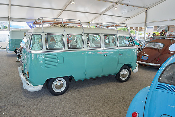 Bugs_2024_10