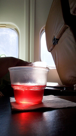 8-08_Florida_010