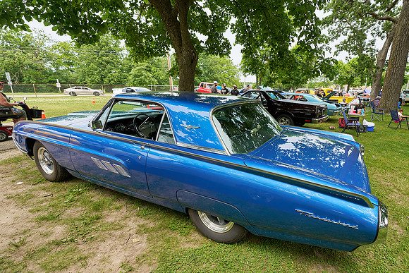 Cars_Fest-15