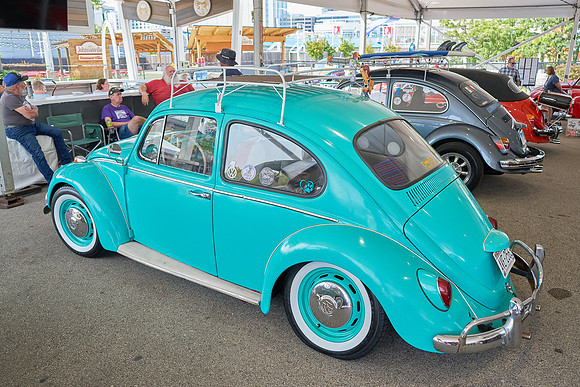 Bugs_2024_25