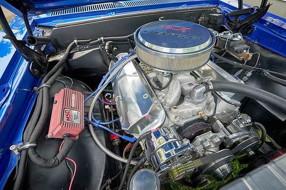 Cars_Fest-25