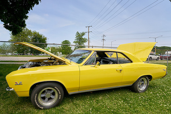 Cars_Fest-40