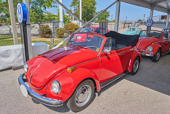 Bugs_2024_03