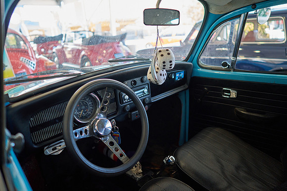 Bugs_2024_34