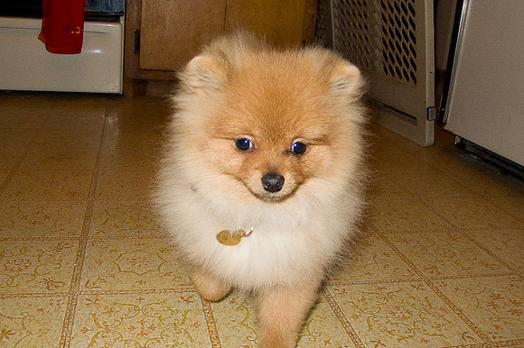 04_Oliver