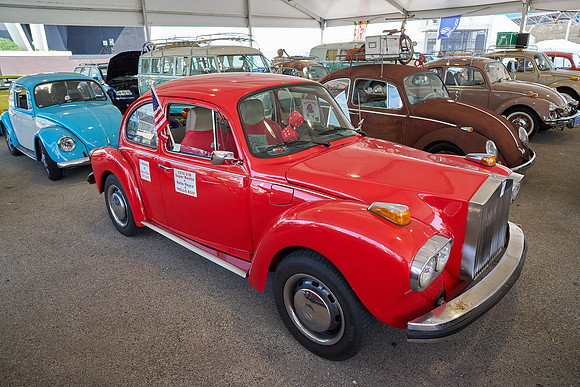 Bugs_2024_05