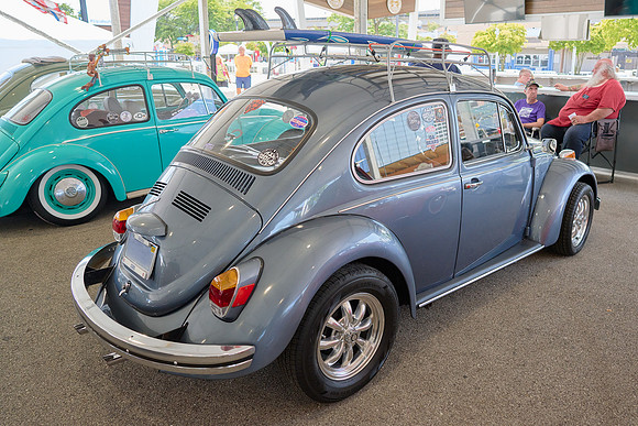 Bugs_2024_13