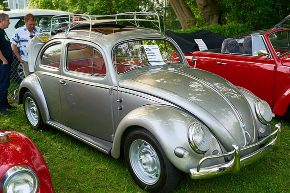 Bugs_2025-1_05