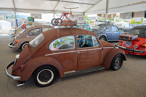 Bugs_2024_11
