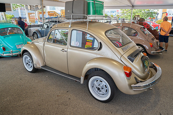 Bugs_2024_24