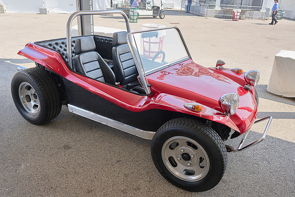 Bugs_2024_22