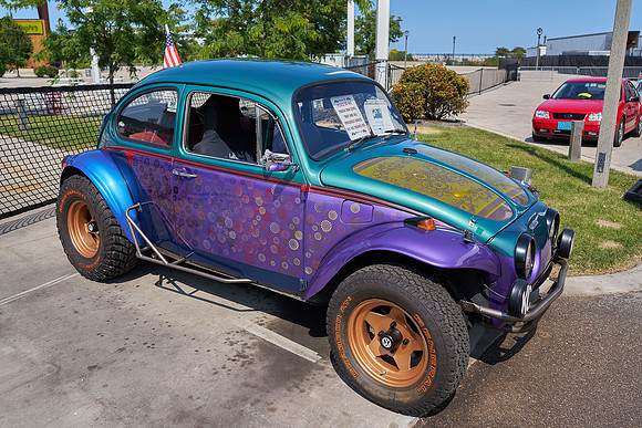 Bugs_2024_01