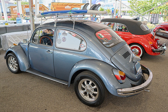 Bugs_2024_27