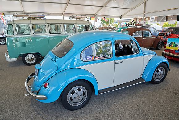 Bugs_2024_08
