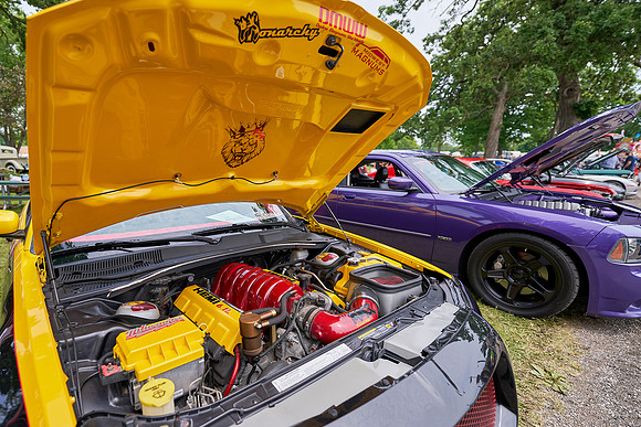 Cars_Fest-29