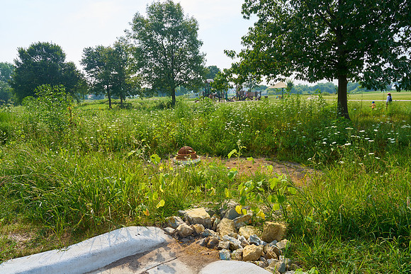 Small_25-014 Tri-North Park 06