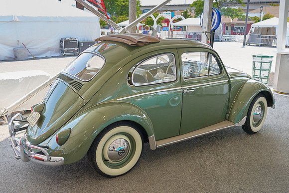 Bugs_2024_26